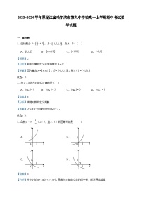 2023-2024学年黑龙江省哈尔滨市第九中学校高一上学期期中考试数学试题含答案
