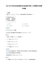 2023-2024学年山东省济南市山东省实验中学高一上学期期中考试数学试题含答案