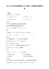 2023-2024学年山东省青岛第三十九中学高一上学期期中考试数学试题含答案