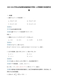 2023-2024学年山东省青岛实验高级中学高一上学期期中考试数学试题含答案