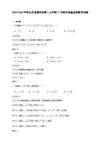 2023-2024学年山东省潍坊市高一上学期11月期中质量监测数学试题含答案