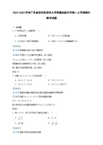2023-2024学年广东省深圳市深圳大学附属实验中学高一上学期期中数学试题含答案