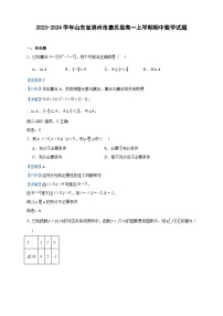2023-2024学年山东省滨州市惠民县高一上学期期中数学试题含答案