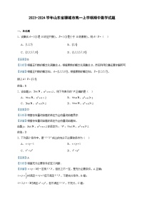 2023-2024学年山东省聊城市高一上学期期中数学试题含答案