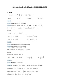 2023-2024学年山东省烟台市高一上学期期中数学试题含答案