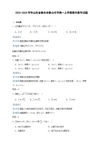2023-2024学年山东省泰安市泰山中学高一上学期期中数学试题含答案