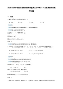 2023-2024学年重庆市缙云教育联盟高二上学期11月月度质量检测数学试题含答案