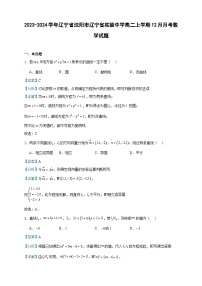 2023-2024学年辽宁省沈阳市辽宁省实验中学高二上学期12月月考数学试题含答案