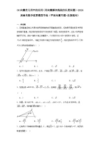 06向量在几何中的应用（用向量解决线段的长度问题）-2024届高考数学重要模型专练（平面向量专题-全