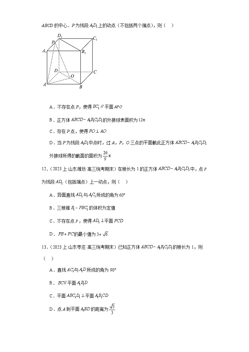 10空间向量与立体几何-山东省2023-2024学年高三上学期期末数学专题练习（人教A版,2019新版）第3页