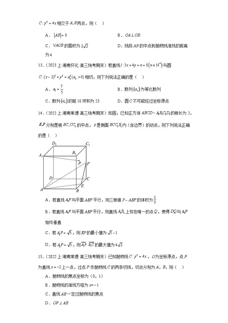 08平面解析几何-湖南2023-2024学年高三上学期期末数学专题练习（人教版）第3页