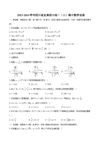 2023-2024学年四川省宜宾四中高一（上）期中数学试卷（含解析）