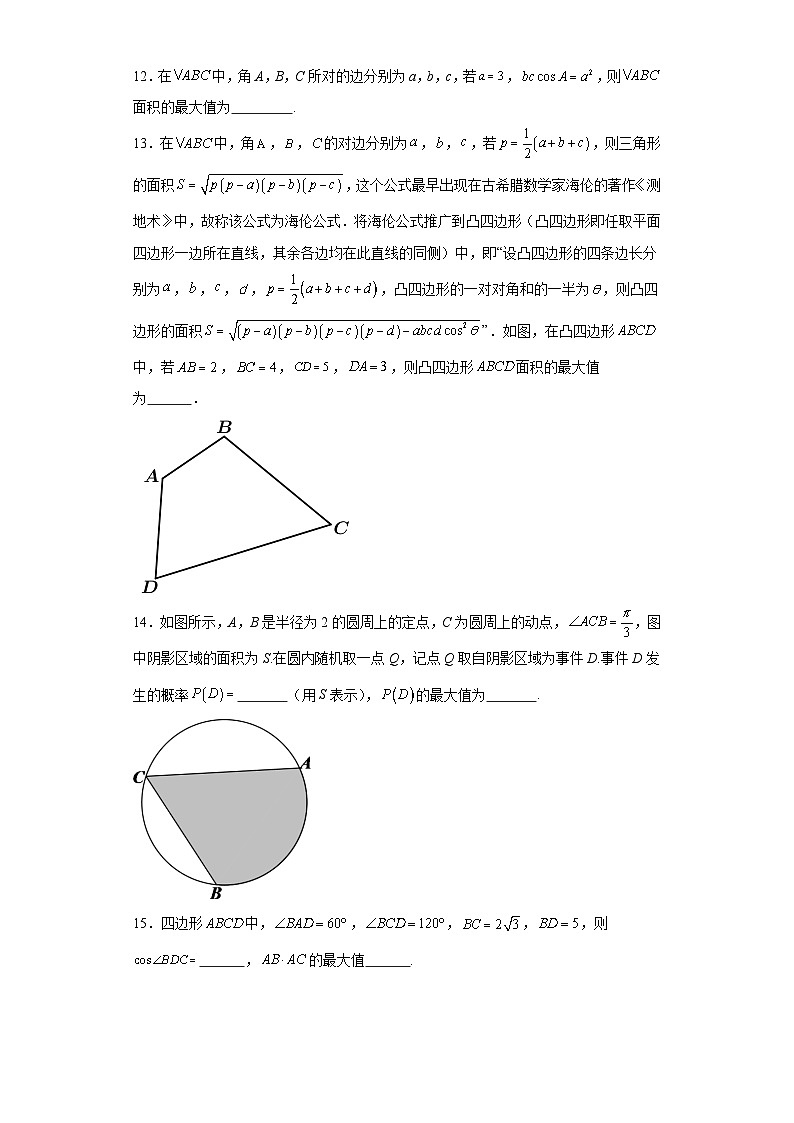 06正、余弦定理在几何中的应用（求三角形面积的最值或范围）-【三角函数与解三角形专题】2024届高考第3页