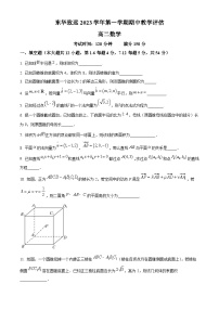 2024上海市东华大学附属奉贤致远中学高二上学期期中考试数学含解析
