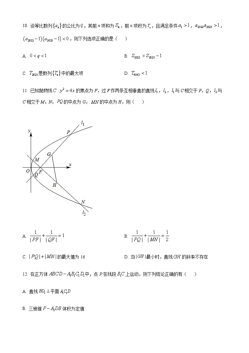 重庆市杨家坪中学2023-2024学年高二上学期第三次月考数学试题（原卷版）第3页