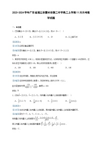 2023-2024学年广东省湛江市雷州市第二中学高二上学期11月月考数学试题含答案