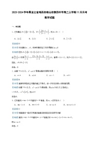2023-2024学年黑龙江省鸡西市密山市第四中学高二上学期11月月考数学试题含答案