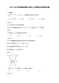 2023-2024学年海南省海南中学高二上学期期中考试数学试题含答案