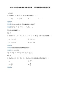 2023-2024学年河南省实验中学高二上学期期中考试数学试题含答案