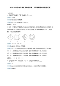 2023-2024学年上海市风华中学高二上学期期中考试数学试题含答案