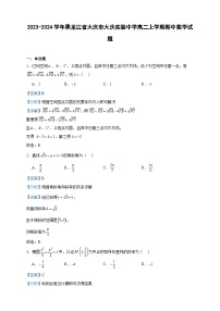 2023-2024学年黑龙江省大庆市大庆实验中学高二上学期期中数学试题含答案