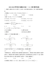 2023-2024学年四川省雅安市高一（上）期中数学试卷（含解析）