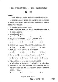 2024全国高考适应性考试数学试卷
