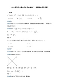 2024届河北省衡水市武邑中学高三上学期期中数学试题含答案