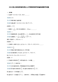 2024届上海市浦东新区高三上学期期末教学质量检测数学试题含答案