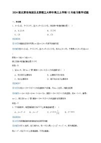 2024届北京市海淀区北京理工大附中高三上学期12月练习数学试题含答案