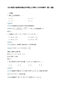 2024届四川省绵阳市南山中学高三上学期12月月考数学（理）试题含答案
