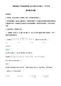 2024届四川省绵阳市南山中学实验学校高三（补习班）上学期11月月考数学（理）试题含答案