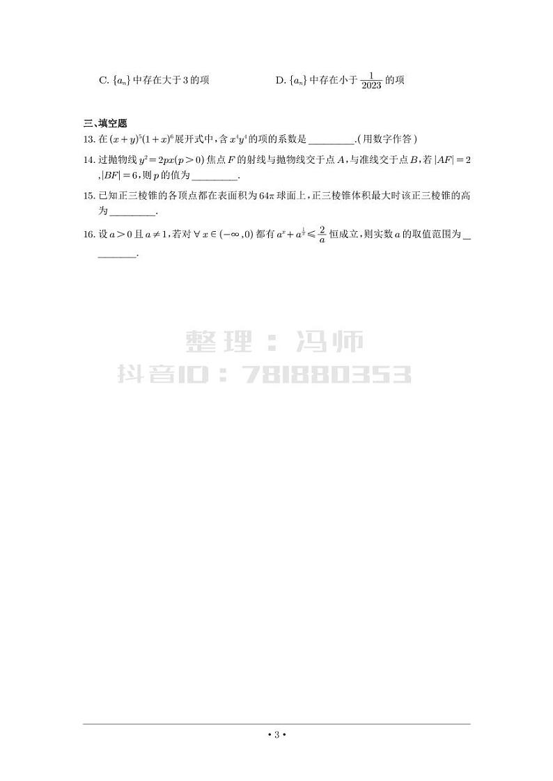 选填模拟（新高考） (12)第3页