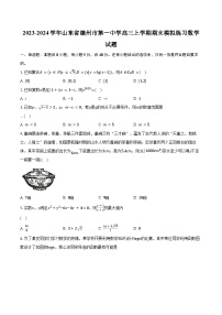 2023-2024学年山东省德州市第一中学高三上学期期末模拟练习数学试题（含解析）