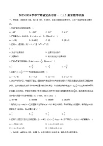 2023-2024学年甘肃省定西市高一（上）期末数学试卷（含解析）