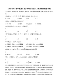 2023-2024学年黑龙江省齐齐哈尔市高三上学期期末数学试题(含解析）