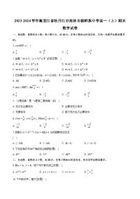2023-2024学年黑龙江省牡丹江市海林市朝鲜族中学高一（上）期末数学试卷(含解析）
