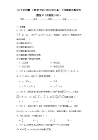 04平面向量-上海市2023-2024学年高三上学期期末数学专题练习（沪教版2020）