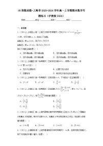 05指数函数-上海市2023-2024学年高一上学期期末数学专题练习（沪教版2020）
