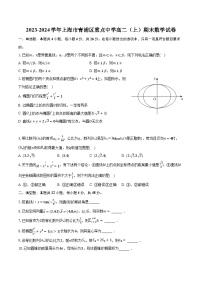 2023-2024学年上海市青浦区重点中学高二（上）期末数学试卷（含解析）