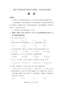 2024年“极光杯”高三上学期线上测试（二）数学试题及答案