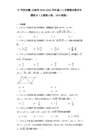 07平面向量-天津市2023-2024学年高三上学期期末数学专题练习（人教版A版，2019新版）