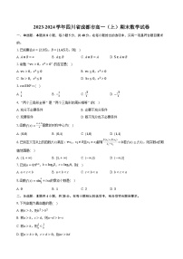 2023-2024学年四川省成都市高一（上）期末数学试卷（含解析）