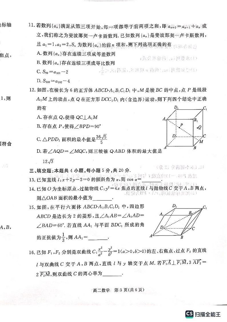 广东省湛江市2023-2024学年高二上学期1月期末调研数学试题03
