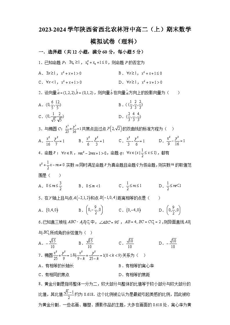 陕西省咸阳市西北农林科技大学附中2023-2024学年高二上学期期末模拟 数学试题（含解析）第1页