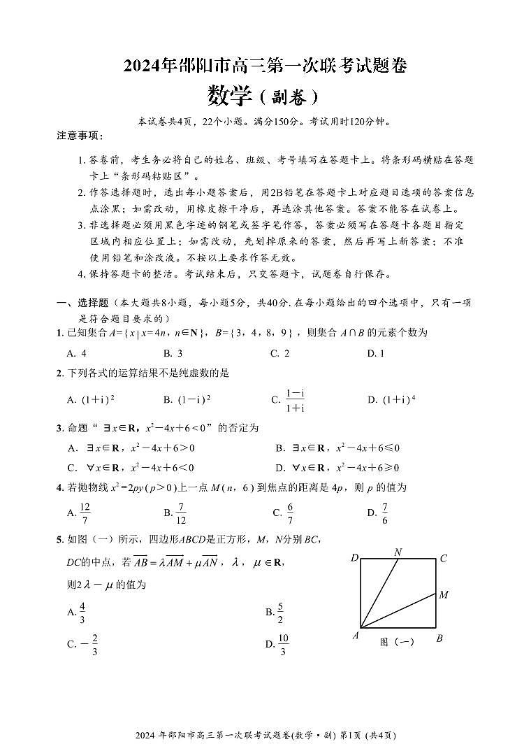 2024届湖南省邵阳市高三一模数学试题及答案01