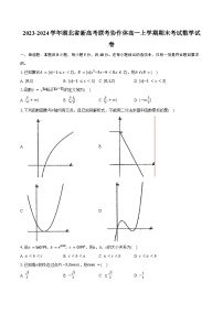 2023-2024学年湖北省新高考联考协作体高一上学期期末考试数学试卷（含解析）