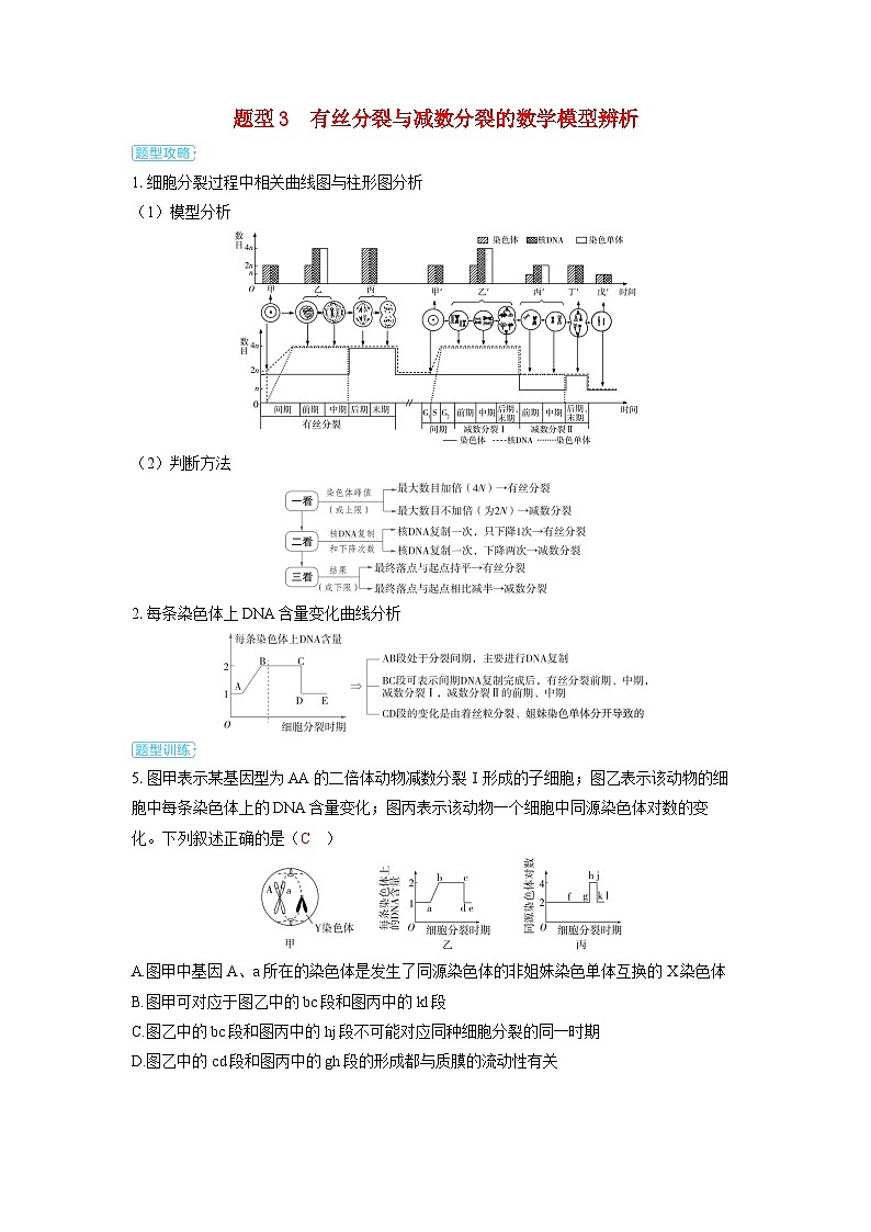 备考2024届高考生物一轮复习讲义第四章细胞的生命历程微专题2多角度辨析有丝分裂与减数分裂题型3有丝分裂与减数分裂的数学模型辨析第1页