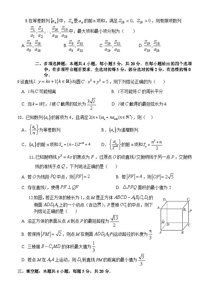 2024湖北省沙市中学高二上学期1月期末考试数学含答案02