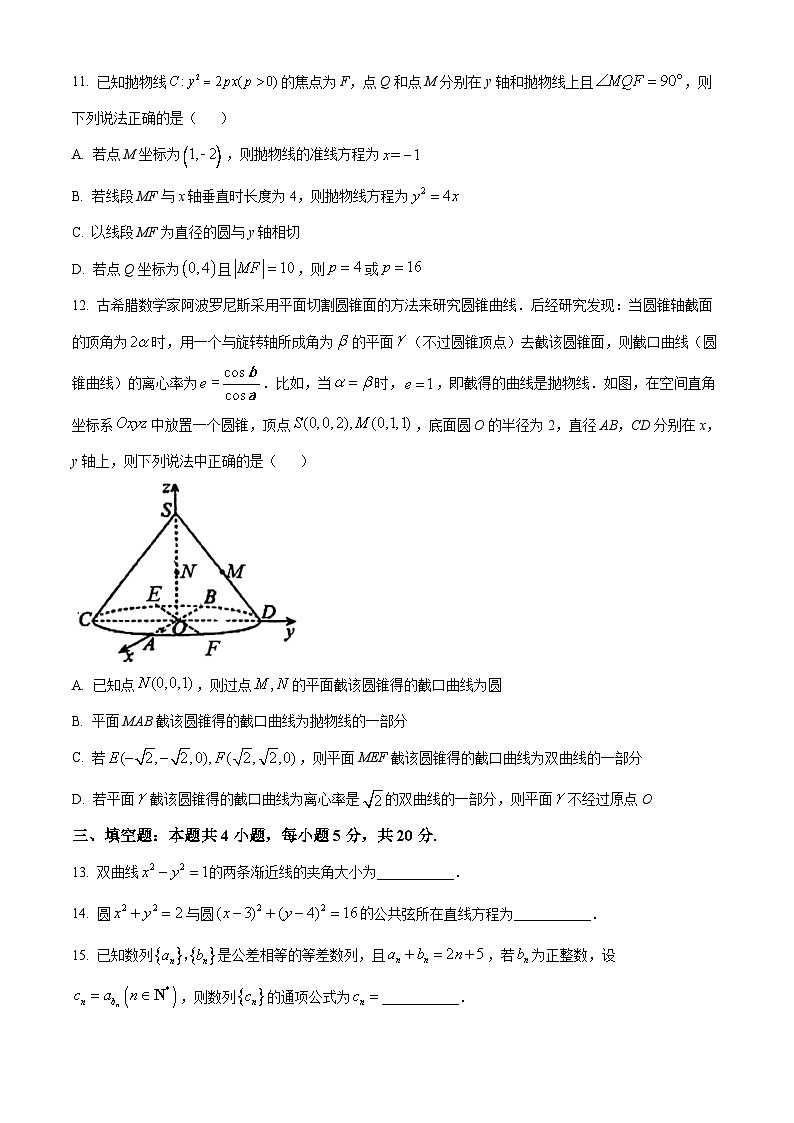 2024芜湖高二上学期期末考试数学含解析03